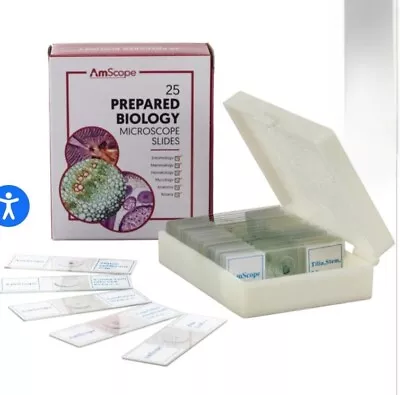 AmScope 25 Prepared Biology Microscope Slides NEW Open Box Etymology Hematology • $15.55