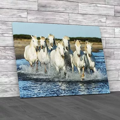 Camargue Horses Running On Beach In Provence Canvas Print Large Picture Wall Art • £21.95