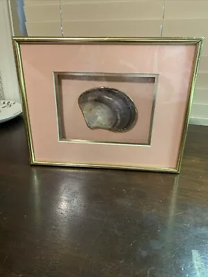 Vintage Shadow Box Gold Trimmed Sea Shell Display By Figi Giftware San Diego • $18