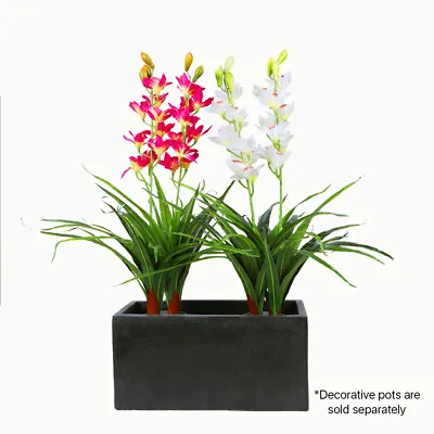 $85.99 • Buy Real Touch Faux Artificial Cymbidium Orchid Plant Home Decor Flower RED/WHITE AU