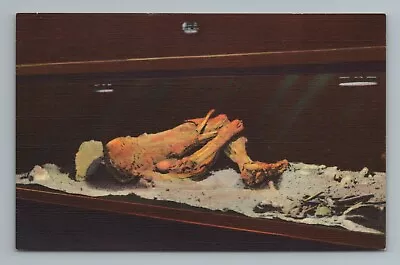 Mammoth Cave Mummified Body Of Man Kentucky Postcard • $1