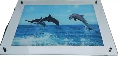 Motion Moving Ocean W/ Dolphins Picture Mirror Light With Ocean Sound 25x18 NOS • $108.71