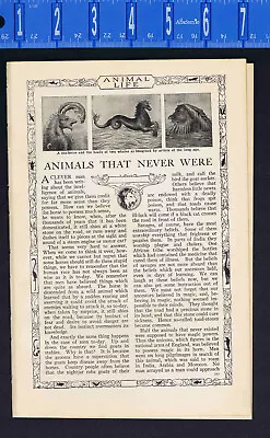 Animals That Never Existed -Sea Monsters Unicorn Dragon Gorgon -1929 Article • $11.99