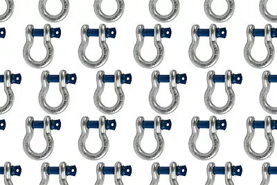 25 Lot 5/8  D Ring Bow Shackle Screw Pin Clevis Rigging Jeep Towing 3.25 Ton • $139.50