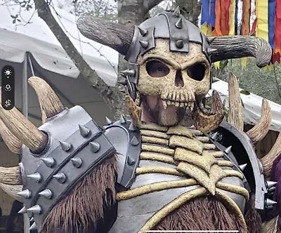 Professional Custom Viking Skull Warrior Costume • $2200