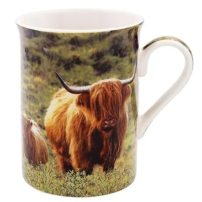 Highland Cow And Calf Tea Coffee Boxed  Mug Gift Boxed • £7.99