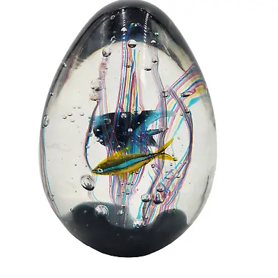 Murano Glass Fish Aquarium Signed Elio Raffaeli Egg Paperweight Italian 8  • $700