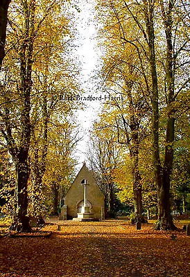 Autumn Avenue Lime Tree Fall Foliage Colour Art Photograph Mounted Print Cards • £16.95