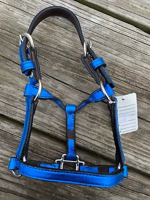 Congress Leather S Miniature Horse Sz Metallic Blue Western Show Halter US Made • $35