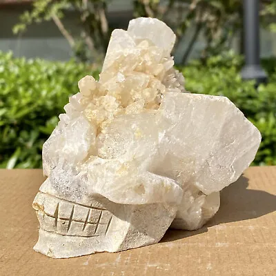 1.98LB Rare Natural White Clusters Quartz Hand Carved Crystal Skull Decoration • $0.99