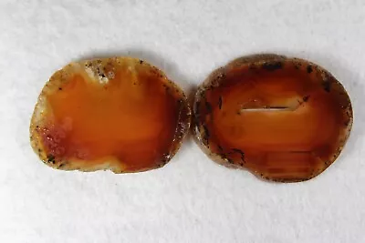 PJ:  Montana Moss & Banded Agate Slab Lot - 2 Slabs - 45 Grams • $5.99