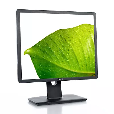 Dell Professional 19” 1280 X 1024 Square LCD Monitor DVI VGA P1913s - GRADE A • $54.99