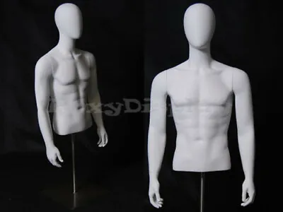 Table Top Egghead Male Mannequin Torso  With Nice Figure And Arms #MD-EGTMSA • $139