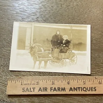 Vintage Goat Wagon Cart PostCard Photograph • $15.99