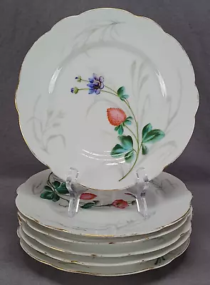 Set Of 6 Old Paris Hand Painted Clover Flower Purple Floral Plates C.1870-1880 B • $195