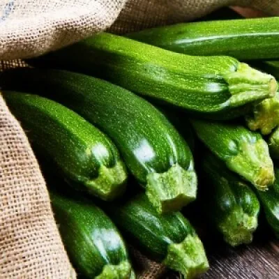 Zucchini (Black Beauty) - 6 Seeds - Organic Tasmanian Grown   Garden Vegetables • $4.60