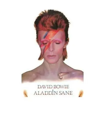 David Bowie Aladdin Sane Rolled Poster Print Decorative Wall Hanging #56 • $12.99