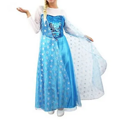 Girls Princess Childrens Fancy Dress Costume Book Week Story Fairytale Costume  • £6.99