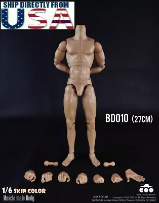 1/6 COOMODEL Muscular Male Figure Body BD010 EXTRA TALL For Hot Toys TTM18 TTM19 • $24.70