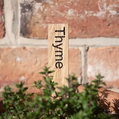 £2 • Buy Plant, Herb Or Vegetable Solid Oak Garden Markers