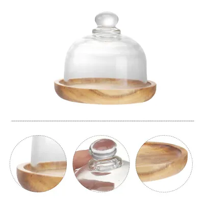 Glass Cake Stand Dome Air Plant Holder Cloche Dome Cake Stand Lid • £14.99