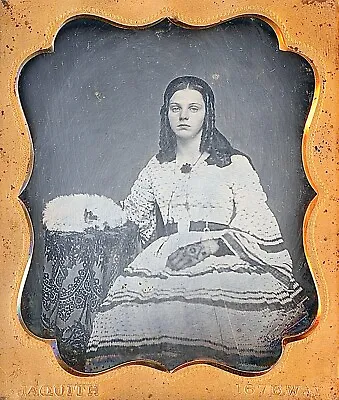 Pretty Young Lady Pet Dog Animal Jaquith New York 1/6 Plate Daguerreotype S217 • $288.75