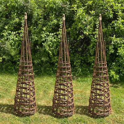 £44.99 • Buy Rustic Spiral Willow Garden Obelisk 1.5m Climbing Plant Support Trellis Set Of 3