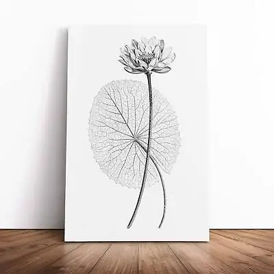 White Egyptian Lotus Flowers Floral Vintage Canvas Wall Art Print Framed Decor • £24.95