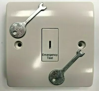 10 Amp 1 Gang Emergency Light Test / Secret Key Switch Plate Double Pole 2 Keys • £6.66