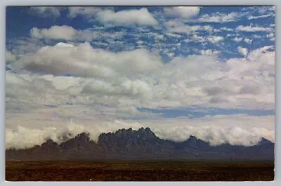 Postcard Organ Pipes New Mexico Organ Mountain Range • $4.75