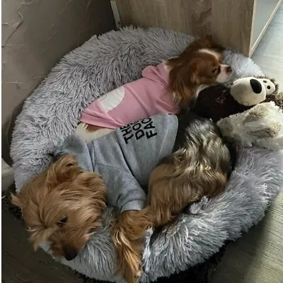 $7.49 • Buy New 2 Leg Pet Dog Clothes Cat Puppy Coat Winter Hoodies Sweater Jacket Clothing
