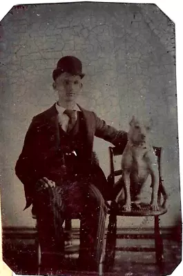 Victorian Pet Dog Tintype~Man Poses W/ White Pit Bull Terrier~Antique Photograph • $26