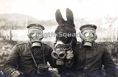 WW1 Picture Photo WWI German Soldiers And Their Mule Wearing Gas Masks 7981 • $5.95