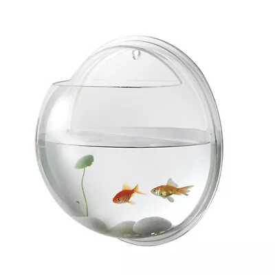 Hanging Fish Bowl Sphere Aquarium Acrylic Fish Tank • £10.22