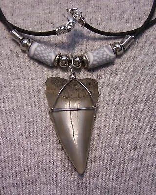 Shark Tooth Necklace 1 11/16 Mako Sharks Teeth Jaw Fossil Megalodon Dive Polishd • $19