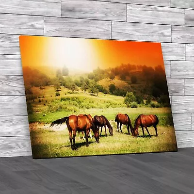 Captivating Wild Horses Embracing Sunny Skies Original Canvas Print Large • £14.95