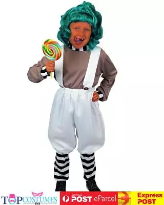 Oompa Loompa Charlie Chocolate Factory Willy Wonka Book Week Boys Costume • $54