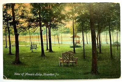 Scranton Pennsylvania PA Moosic Lake Trees Park Benches Vintage Postcard • $9.99