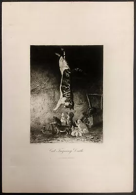 AMERICAN Etching Revival ~ THE TRICKSTER CAT ~ 1886 Peter Moran MUSEUM QUALITY • $135