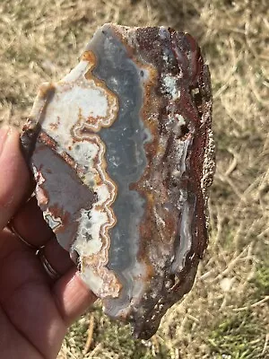 Blue Crazy Lace Agate Slab (Mexico) • $25