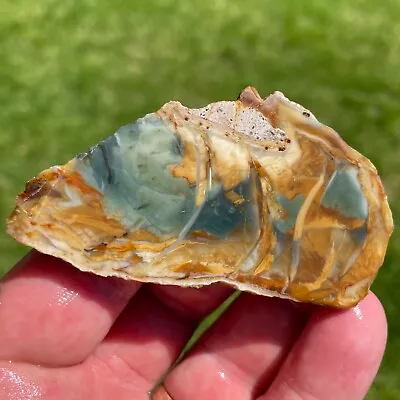 Morrisonite Jasper Slab (S8) • $9.99