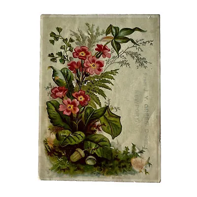 Victorian Era Advertising Trade Card Pink Floral JY Green Drugs Newport VT • $18.89