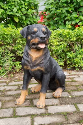 Sitting Rottweiler Life Size Dog Garden Statue Yard Lawn Decor For Dog Lover • $163.91