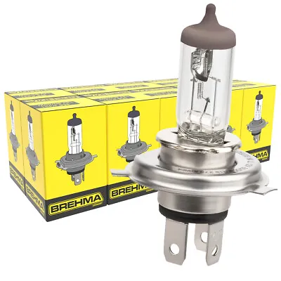 10x BREHMA Germany H4 Classic Halogen Headlight Bulb 12V 60/55W Globes Car Bulbs • $32.95