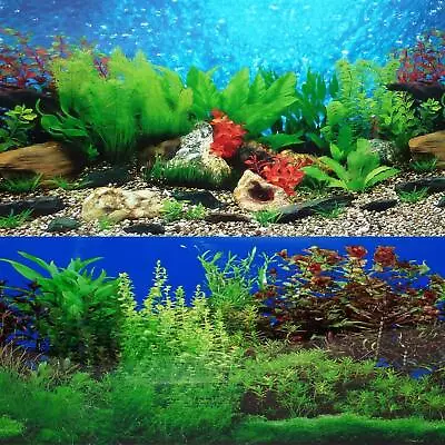 New 20 X 48 Fish Tank Background 2 Sided River Bed & Lake Background Aquarium • $24.83