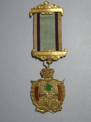 £14.99 • Buy Raob Order Of Buffaloes Silver Jewel / Medal Derry & District Services Rendered