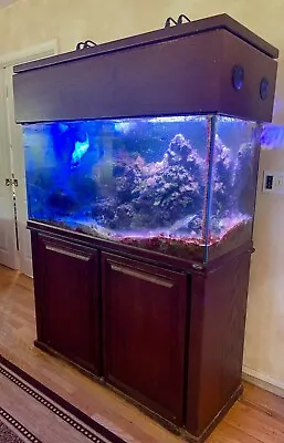 $1995 • Buy 90 Gallon Spectacular Reef Aquarium And Stand - Great Deal!!!