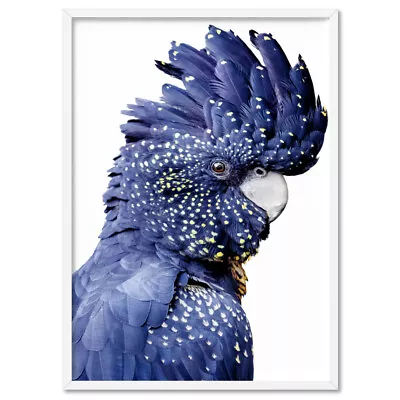 Black Cockatoo Print. Native Australian Bird Wall Art. Blue Tones | ANA-95 • $22.95