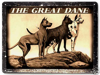 GREAT DANE Dog METAL Sign Dog Pet Shop Great Gift Vintage Style Wall Decor 218 • $19.55