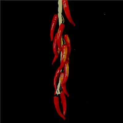 £11.99 • Buy Bunch Of Artificial Hanging Red Chillies - Plastic Decorative Veg Kitchen Prop
